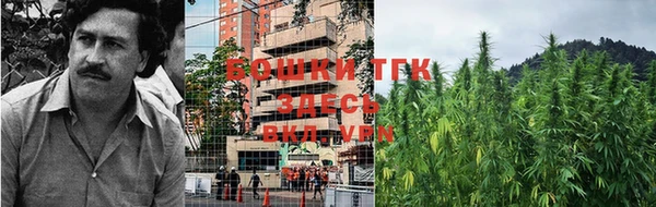 крисы Киреевск