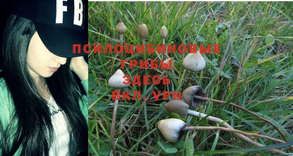 скорость Кинешма