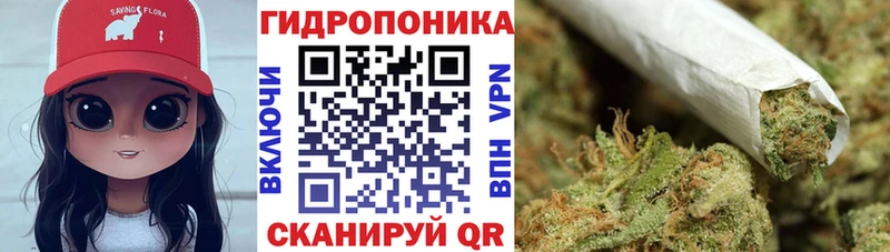 Купить где  Олёкминск  Бошки Шишки ГИДРОПОН 